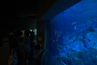 ����p�m���} 3-1