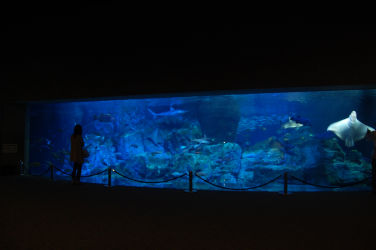 ����p�m���} 3-2