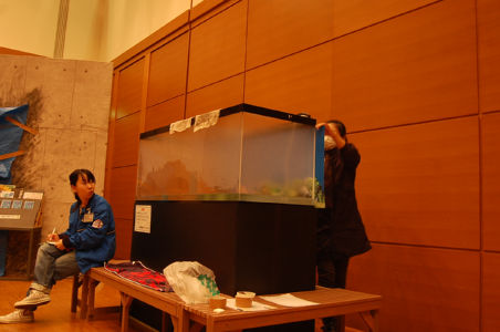 ����p�m���} 5-4