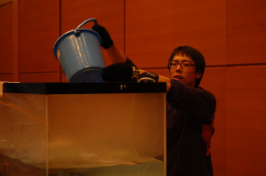 ����p�m���} 5-6